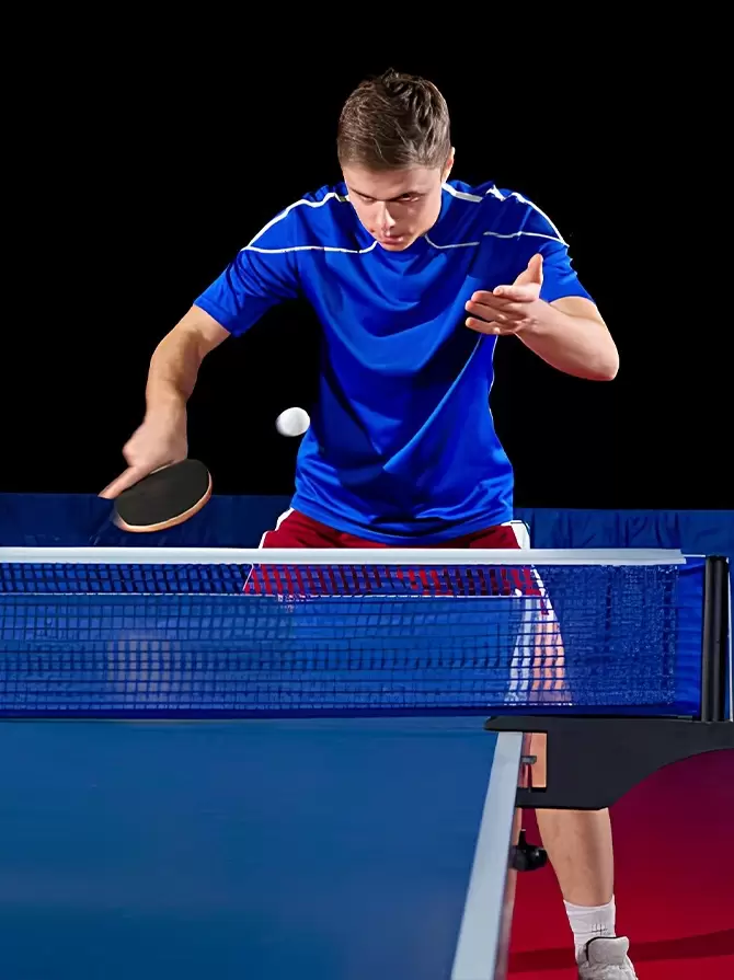 Table Tennis Home (2)